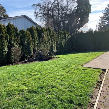 ༄✦ Whispering Woods Oasis✦༄ | 5B/3BA, W/Pool Table