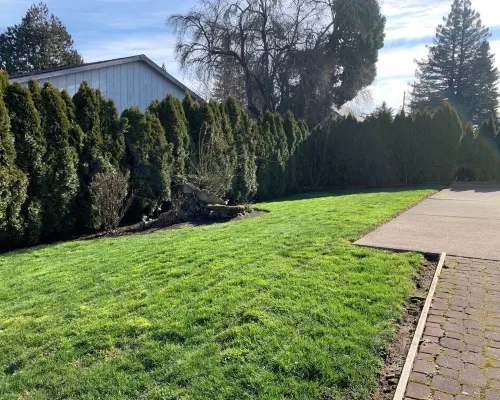 ༄✦ Whispering Woods Oasis✦༄ | 5B/3BA, W/Pool Table Hotels in Aloha