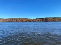 Family Lake Oasis: Enough space for the entire family!