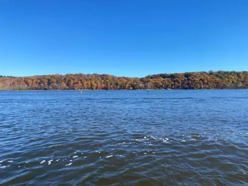 Family Lake Oasis: Enough space for the entire family! Hotels in Forest Lake