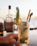 Hôtel Iloma - bar