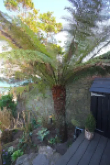 The Crow's Nest - A Cosy Village Cottage with Stunning Sea Views