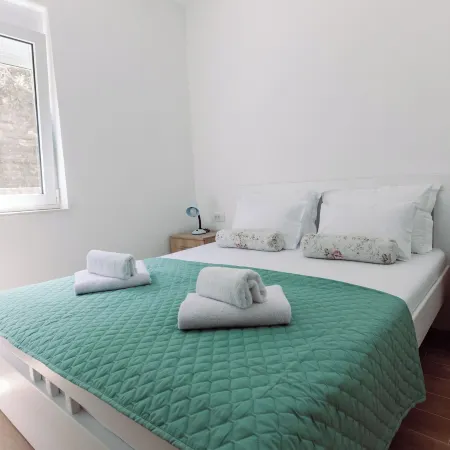 Waterfront Apartment Petrovina