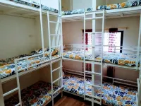 Bee-Force Backpackers - Hostel