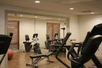 Holiday Inn Express ATLANTA NE - I-85 CLAIRMONT by IHG - Gym