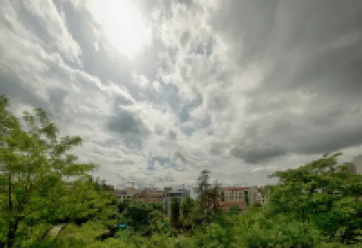四十號花園住宿加早餐旅館