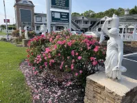 Empire Inn & Suites Absecon/Atlantic City Hotels in Absecon
