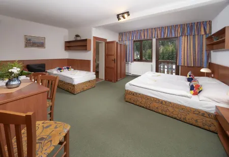 Hotel Maredis Отели в г. Tanvald