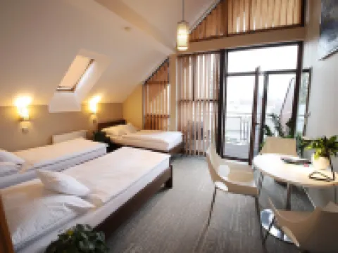 賈布朗尼公寓式酒店 尼斯河畔亞布洛內茨酒店