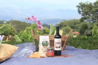 Badu Lodge Hotels in Puriscal