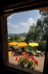 Le Bouton d'Or - Mountain View