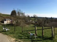 Charming Cottage with Pool in Houffalize
