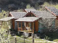 Jibhi Village Hotels in Rashala