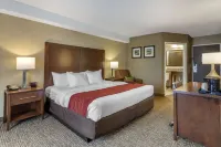 Comfort Inn South
