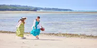 풀 & 사우나 빌라 모토부 - 비치
