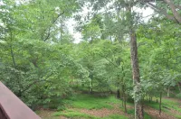 Treetop Cabin -- Pool Access - Fireplace - Grill - Screen Porch - Deck - Wifi - Golf Nearby