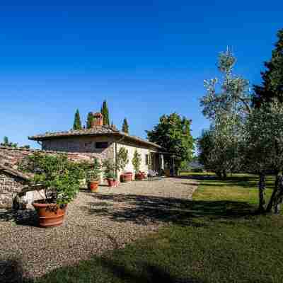 Oliveta a Retreat Surrounded by Olive Trees Hotel Exterior