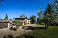 Oliveta a Retreat Surrounded by Olive Trees