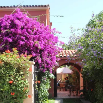 El Arbol Hostel