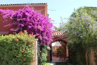 El Arbol Hostel Hotel a 