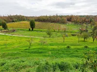Cozy Tuscan Getaway - Homestays