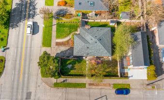 Lilac in Law, Picturesque Lower Unit