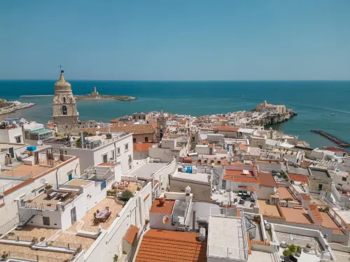 3557 ดิมอเร แอล คัสเทลโล-คัทเตดรัล โดย บาร์บาร์เฮ้าส์