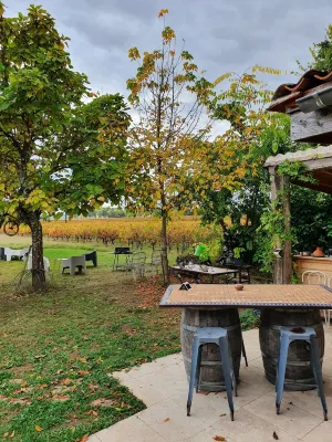 Au Vélo Dans l'Arbre Hotel di Saint-emilion
