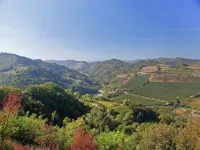 Apartment in Quiet and Green Environment with Swimming Pool - Homestays