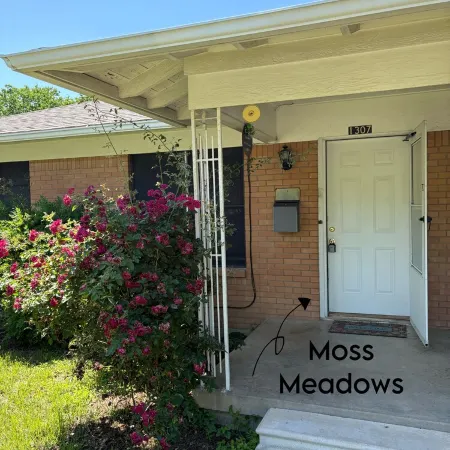 Escape to Moss Meadows: Your Serene Trip Awaits - Pet Friendly -