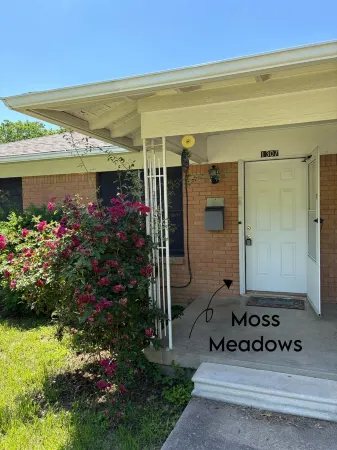 Escape to Moss Meadows: Your Serene Trip Awaits - Pet Friendly -