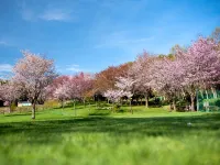 Yunni No Yu Hotels in Yubari
