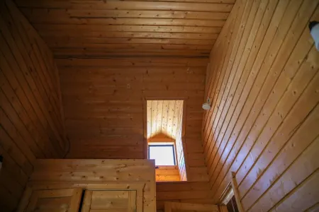 Pine cabin / Drk Sky / Wi-Fi / Dog Ok / Quiet