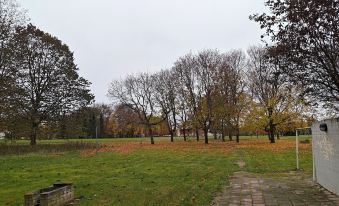 Pet-Friendly 4 Bed Apt in Turku with Park Views