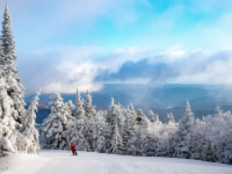 Vantage Point Villas at Stratton Mountain Resort Hotels in Stratton Mountain