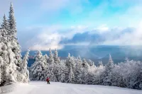 Vantage Point Villas at Stratton Mountain Resort Hotels in Stratton