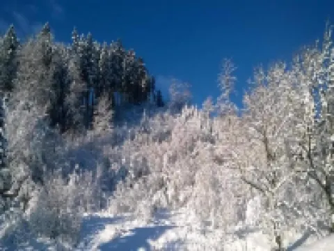 Detached Holiday Residence in the Wonderfully Beautiful Harz Hotels in Osterode am Harz