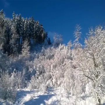 Detached Holiday Residence in the Wonderfully Beautiful Harz
