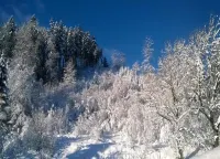 フェリエンヴォーヌング イン カムシュラッケン