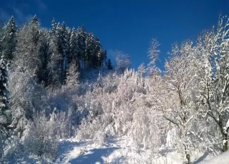 Detached Holiday Residence in the Wonderfully Beautiful Harz