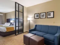 Comfort Suites Byron Warner Robins Hotels in Peach County