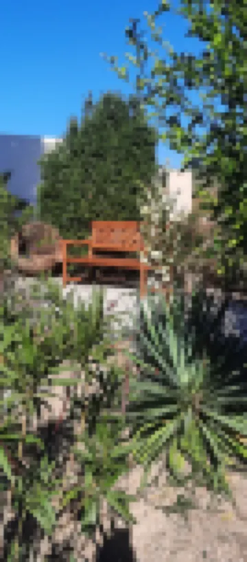 Le Coq du Nord - Mailhac Gîte et Chambres d'Hôtes