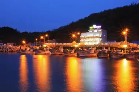 Daeheungho Daege Pension Отели в г. Йондок