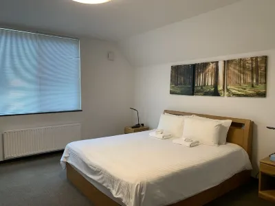 Momiji Brooklyn Hotel di Furano