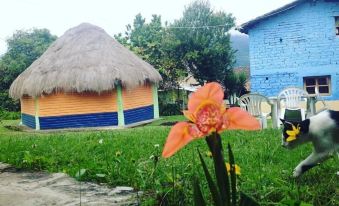 Hostal Casa Aida