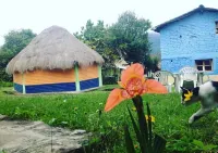 Hostal Casa Aida Hotels near Museo Nicolas Herrera