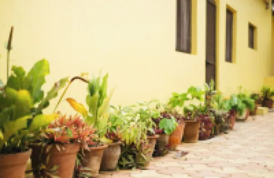 Laika Heritage Stay by Evaddo