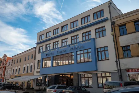 Hotel Zlatá Hvězda Отели в г. Високе-Мито