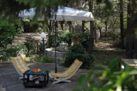 Bed & Breakfast Villa Dan