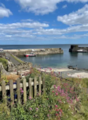 Beautiful seaside home, sea 400m, pub and coastal path. Sleeps 8. Pet friendly!